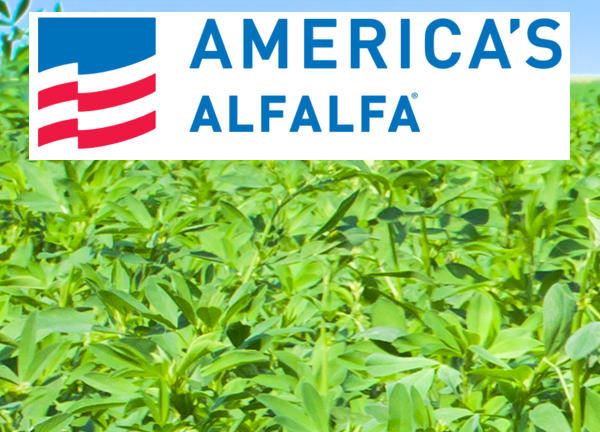 AmeriStand 427TQ GroZone®/Stamina®